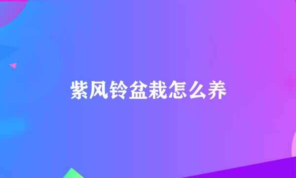 紫风铃盆栽怎么养