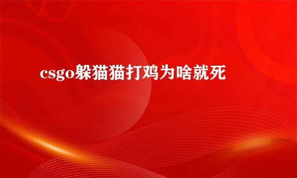 csgo躲猫猫打鸡为啥就死