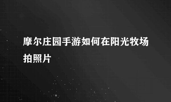 摩尔庄园手游如何在阳光牧场拍照片