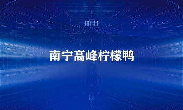 南宁高峰柠檬鸭