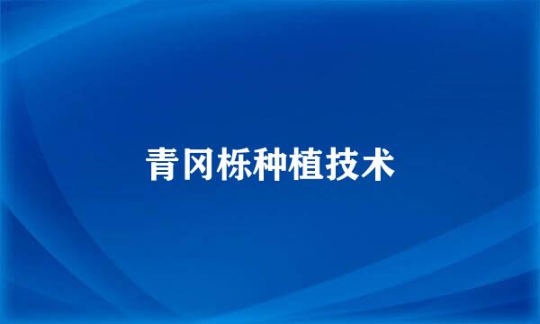 青冈栎种植技术