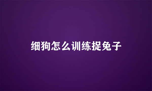 细狗怎么训练捉兔子
