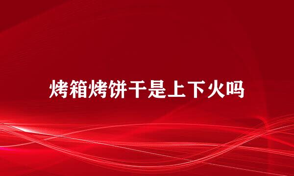 烤箱烤饼干是上下火吗