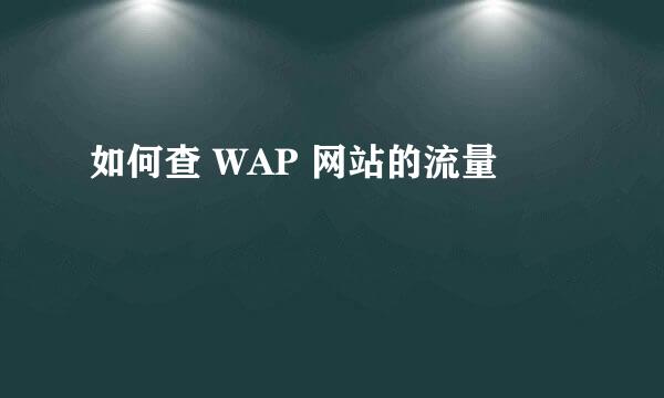 如何查 WAP 网站的流量