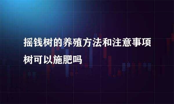 摇钱树的养殖方法和注意事项树可以施肥吗