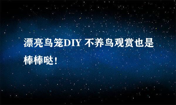 漂亮鸟笼DIY 不养鸟观赏也是棒棒哒！