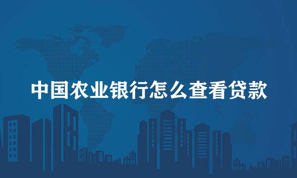 中国农业银行怎么查看贷款