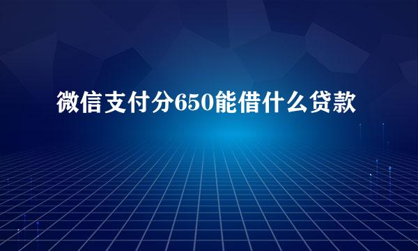 微信支付分650能借什么贷款