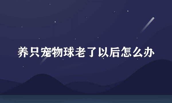 养只宠物球老了以后怎么办