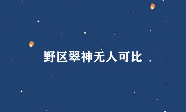 野区翠神无人可比