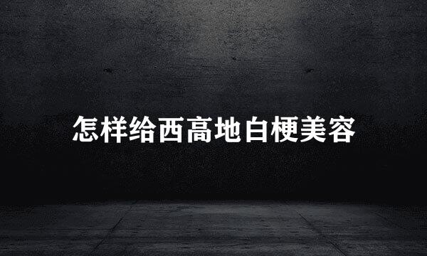 怎样给西高地白梗美容