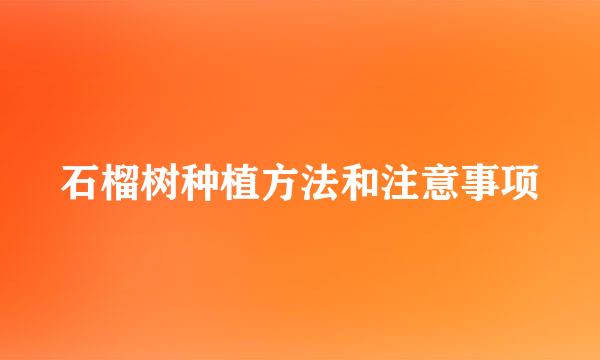石榴树种植方法和注意事项