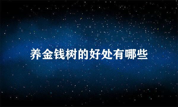 养金钱树的好处有哪些