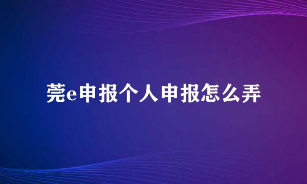 莞e申报个人申报怎么弄