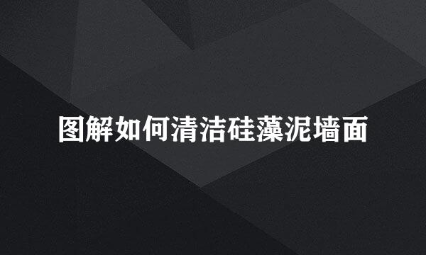 图解如何清洁硅藻泥墙面