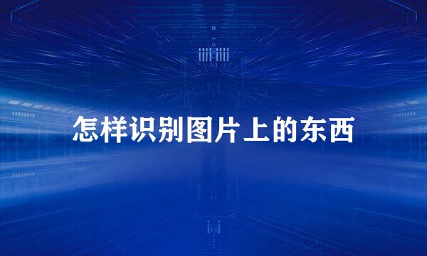 怎样识别图片上的东西