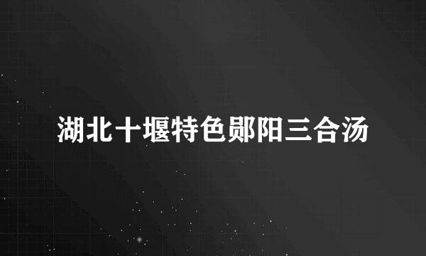 湖北十堰特色郧阳三合汤
