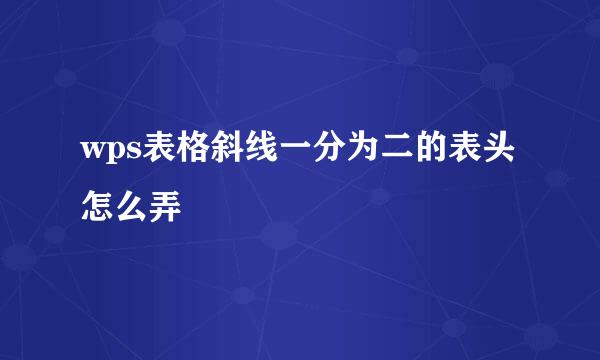 wps表格斜线一分为二的表头怎么弄