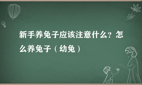 新手养兔子应该注意什么？怎么养兔子（幼兔）