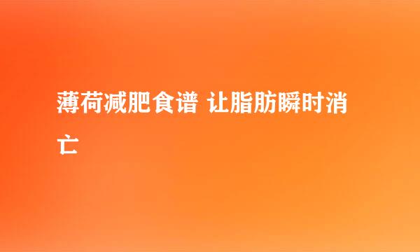 薄荷减肥食谱 让脂肪瞬时消亡