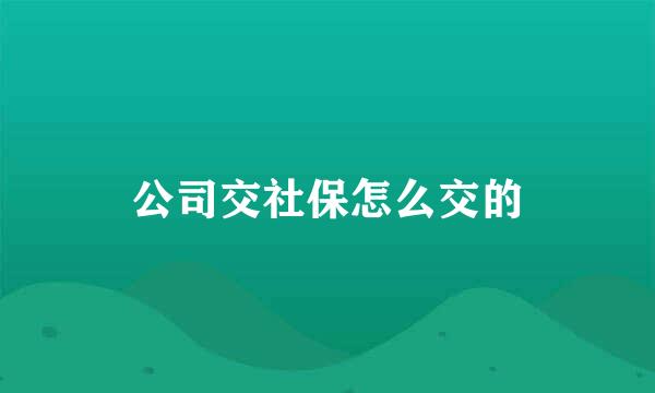 公司交社保怎么交的