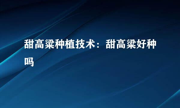 甜高粱种植技术:甜高粱好种吗