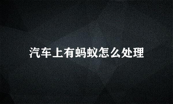 汽车上有蚂蚁怎么处理