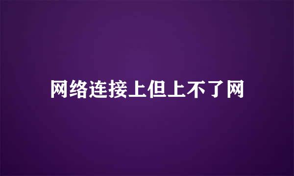 网络连接上但上不了网