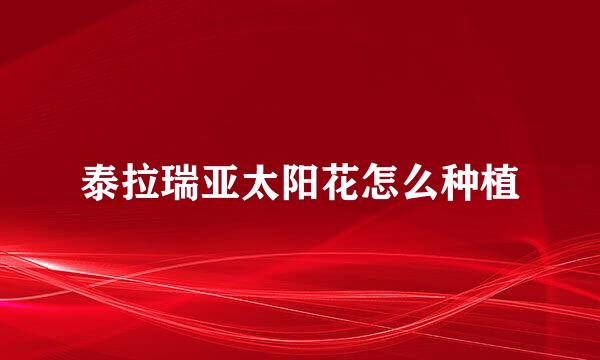 泰拉瑞亚太阳花怎么种植