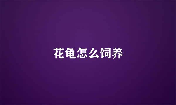花龟怎么饲养