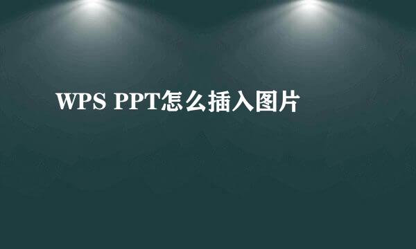WPS PPT怎么插入图片