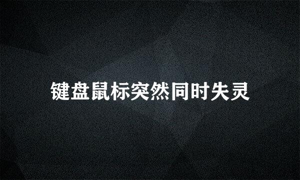 键盘鼠标突然同时失灵