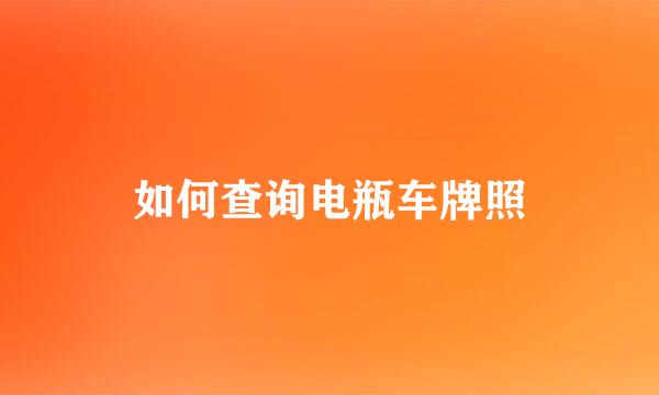 如何查询电瓶车牌照