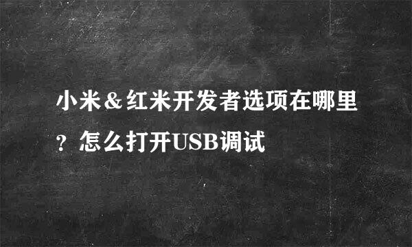 小米＆红米开发者选项在哪里？怎么打开USB调试