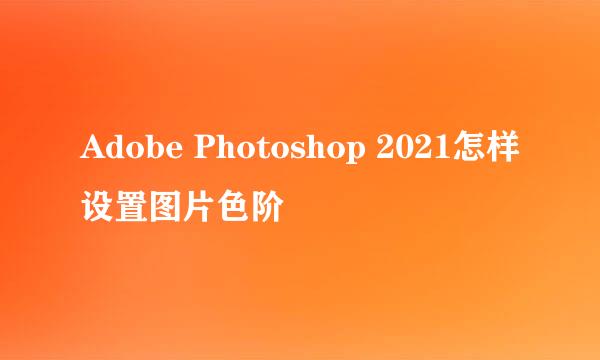 Adobe Photoshop 2021怎样设置图片色阶
