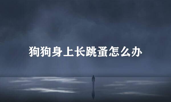狗狗身上长跳蚤怎么办
