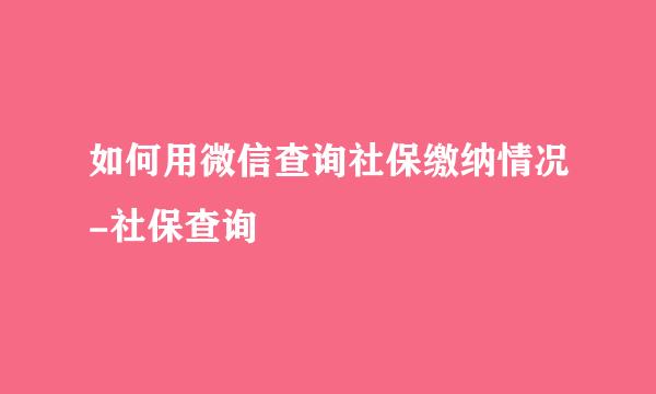 如何用微信查询社保缴纳情况-社保查询