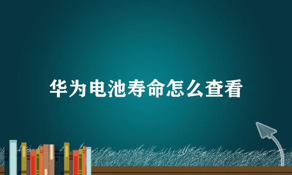 华为电池寿命怎么查看