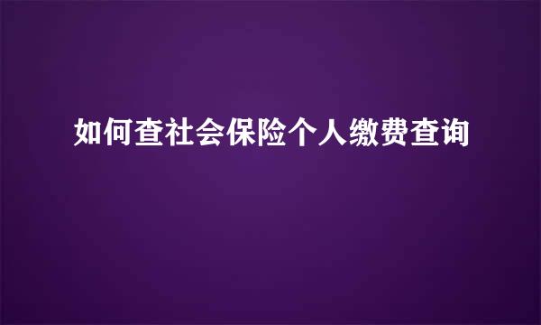 如何查社会保险个人缴费查询