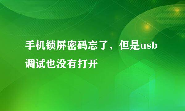 手机锁屏密码忘了，但是usb调试也没有打开