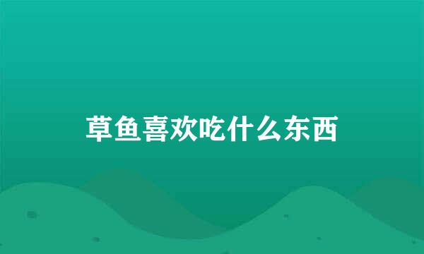 草鱼喜欢吃什么东西