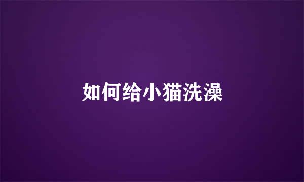 如何给小猫洗澡