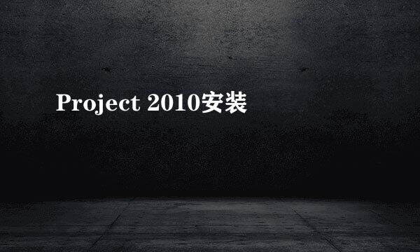 Project 2010安装