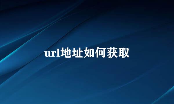 url地址如何获取
