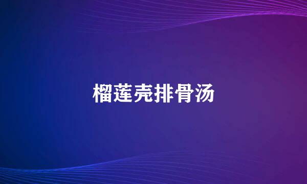 榴莲壳排骨汤