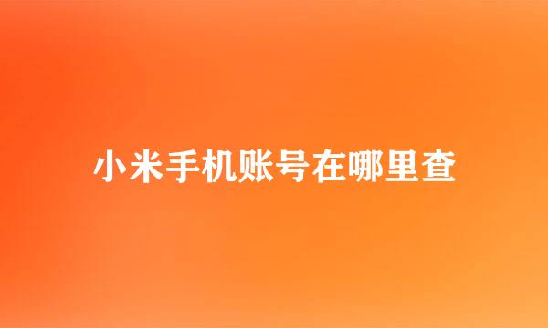 小米手机账号在哪里查