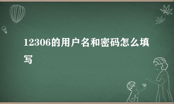 12306的用户名和密码怎么填写