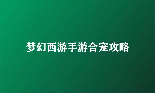 梦幻西游手游合宠攻略