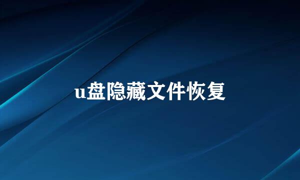 u盘隐藏文件恢复