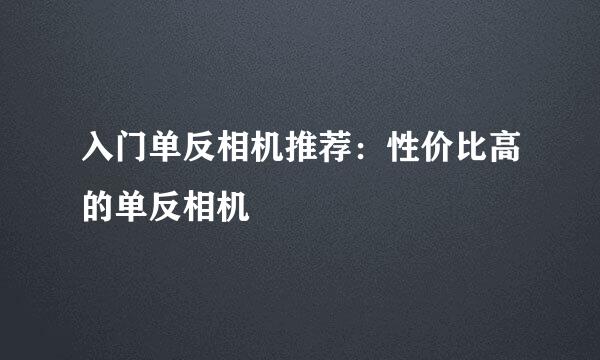 入门单反相机推荐：性价比高的单反相机